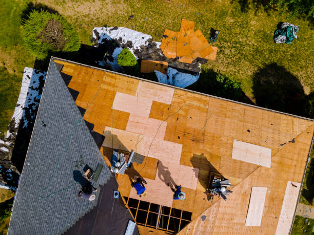 Best Metal Roofing Contractor  in North Shore, VA