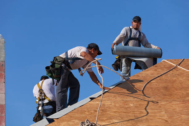 Best Shingle Roofing Installation  in North Shore, VA