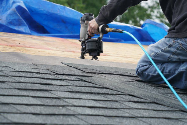 Best Roof Maintenance Services  in North Shore, VA