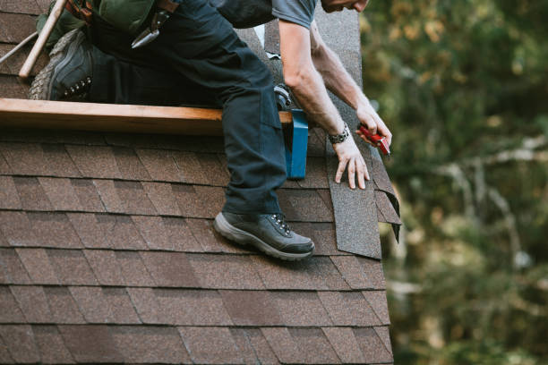 Best Roofing Contractor Near Me  in North Shore, VA