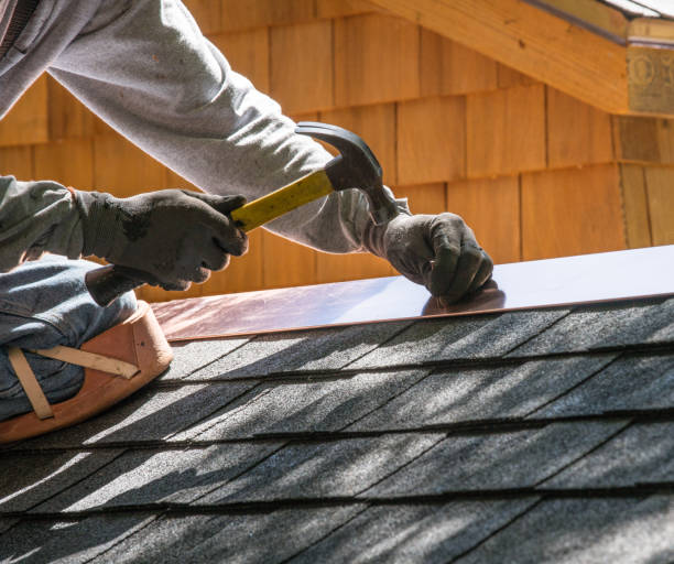 Best Roof Gutter Cleaning  in North Shore, VA